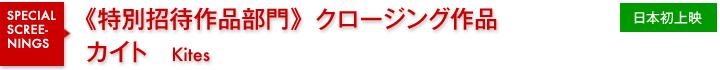 特別招待作品部門/カイト