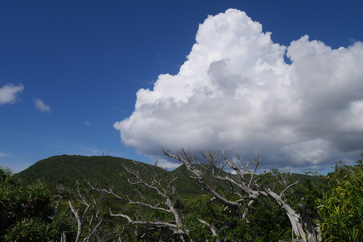 CLOUD NATION